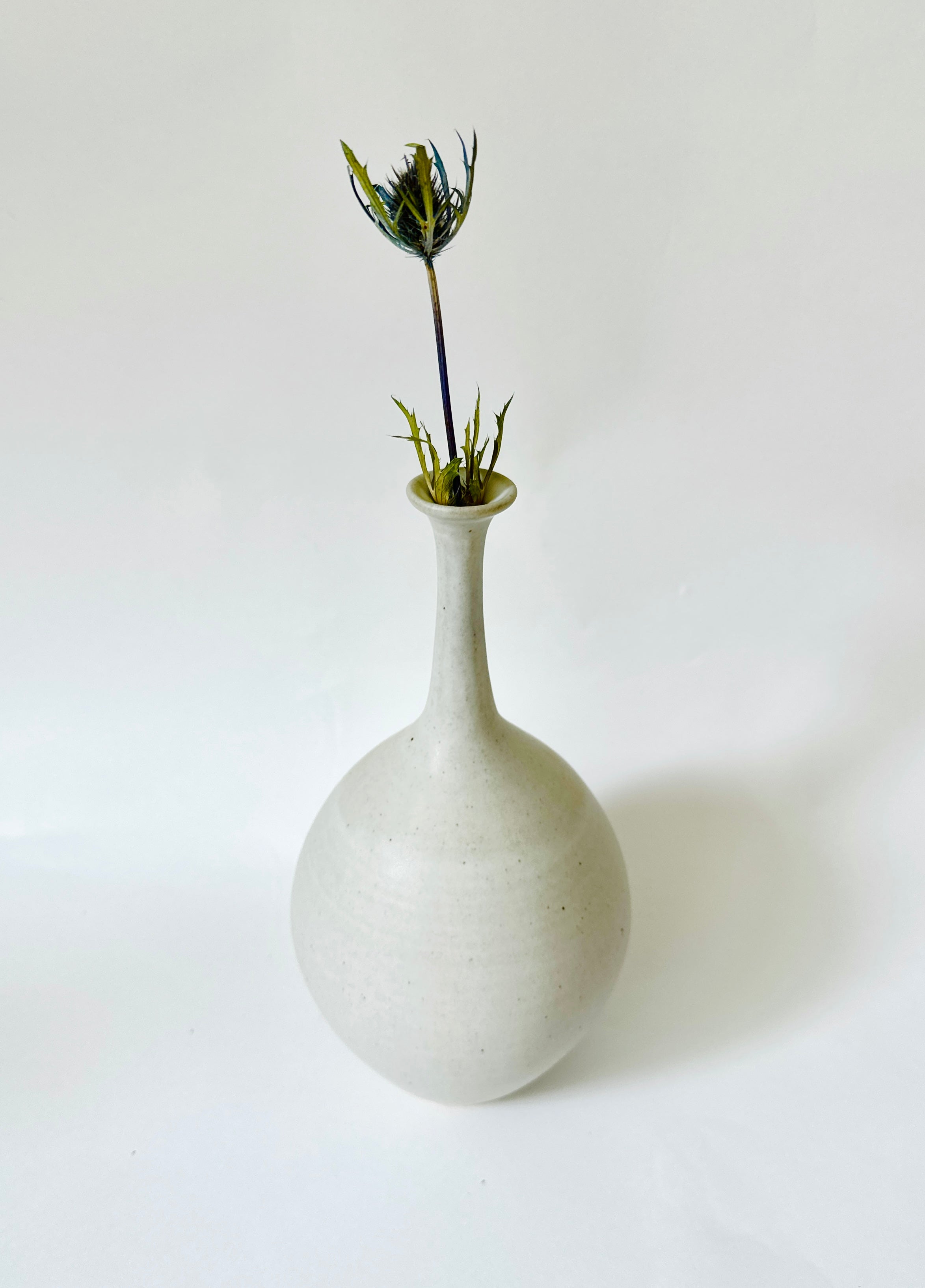 White bottleneck No. 22