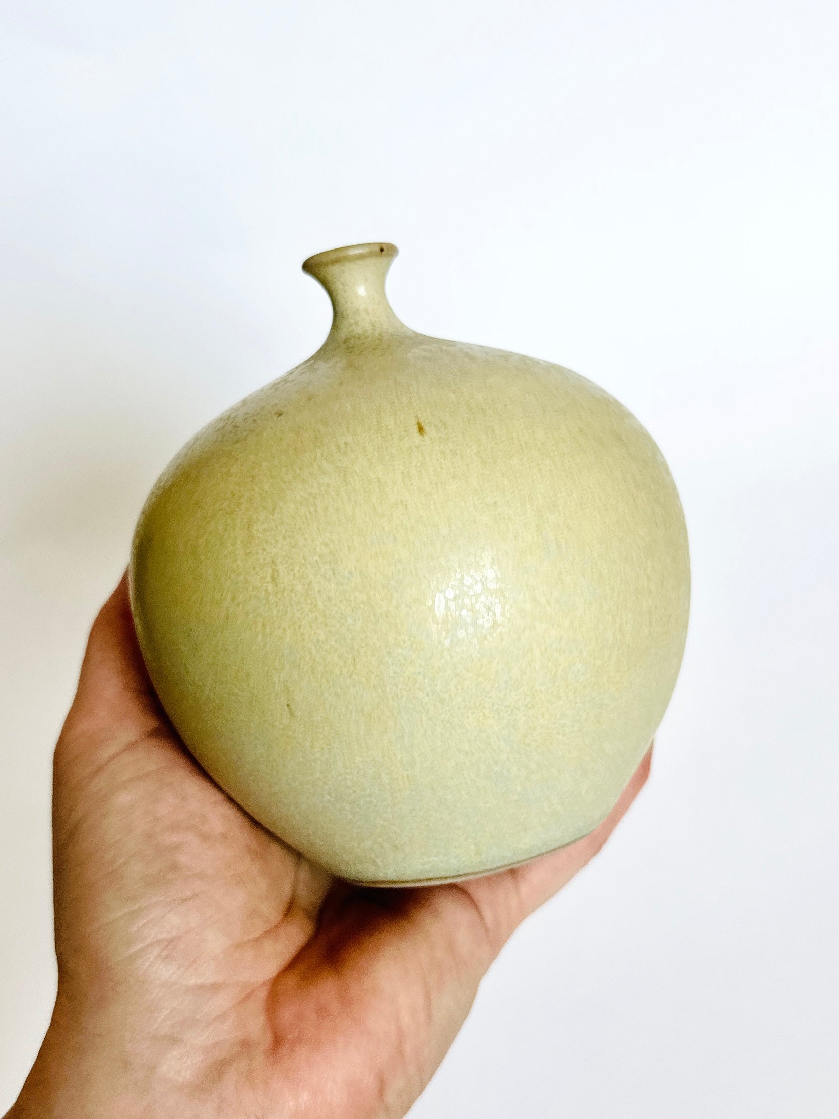 Pistachio no. 6