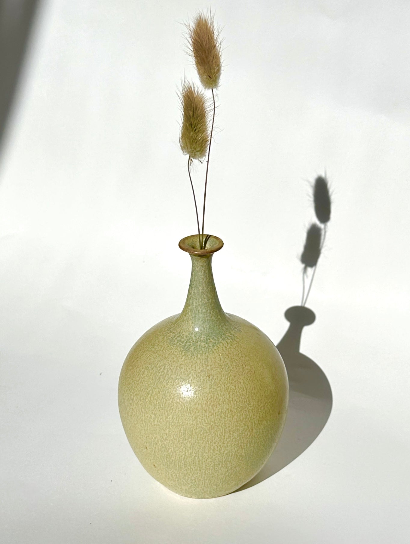 Pistachio no. 5