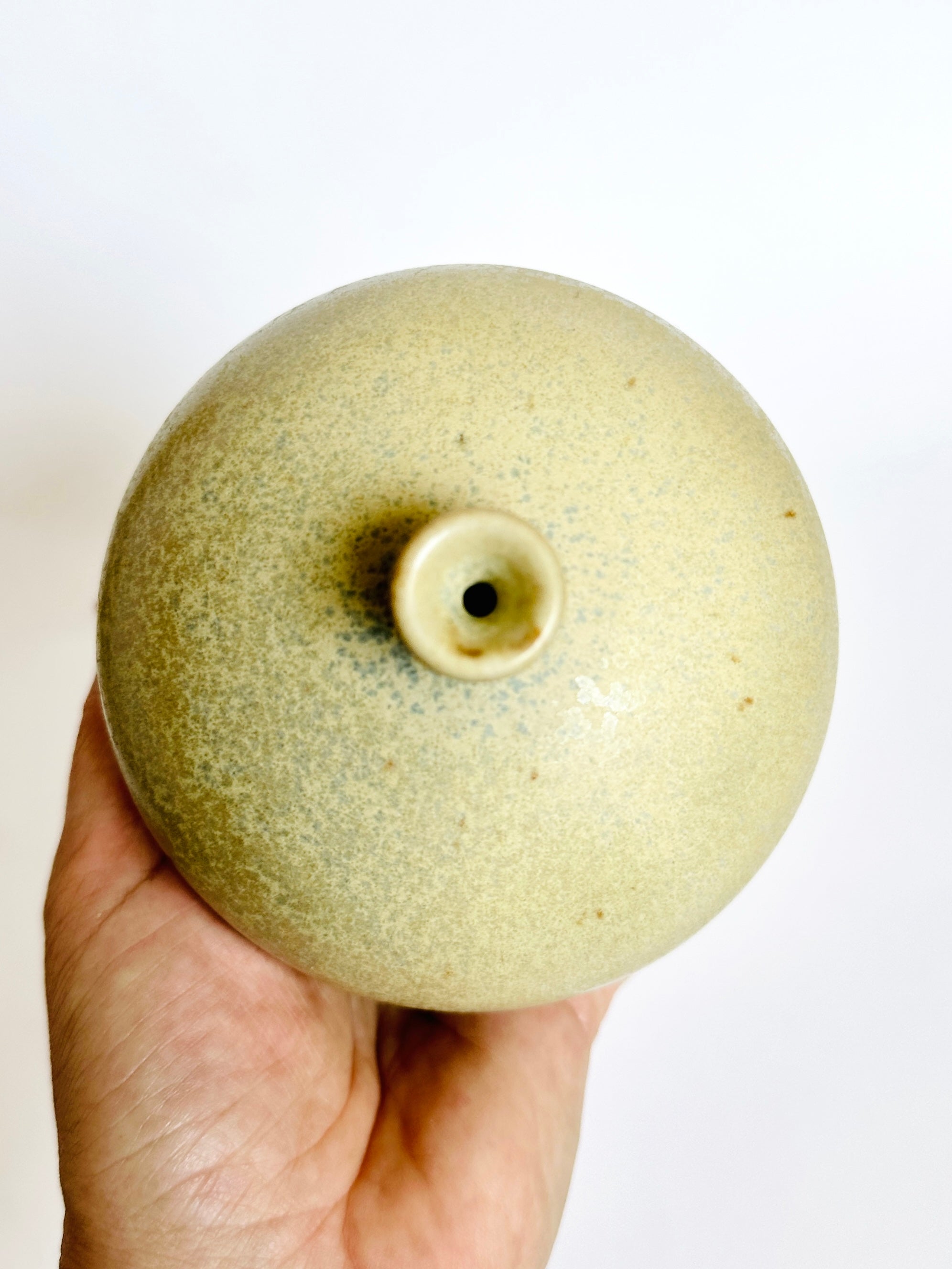 Pistachio no. 6