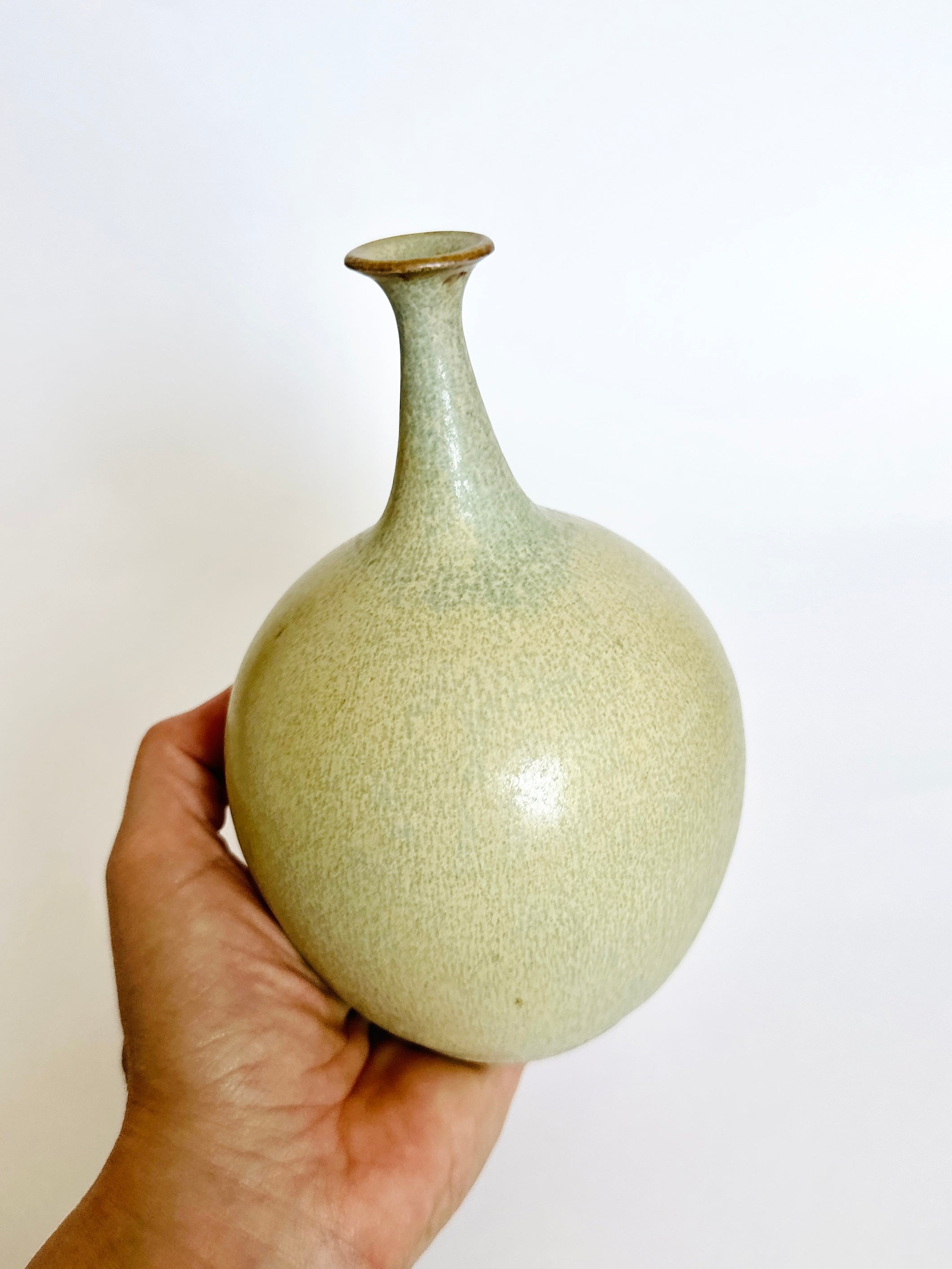 Pistachio no. 5