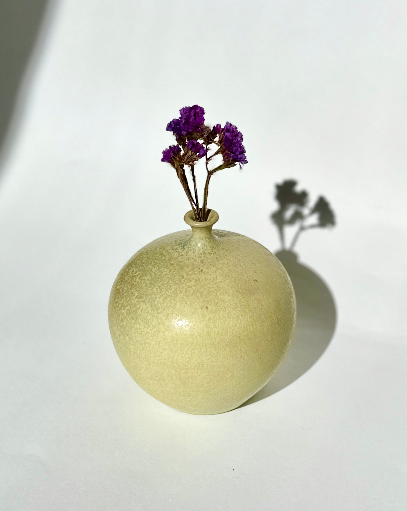 Pistachio no. 6
