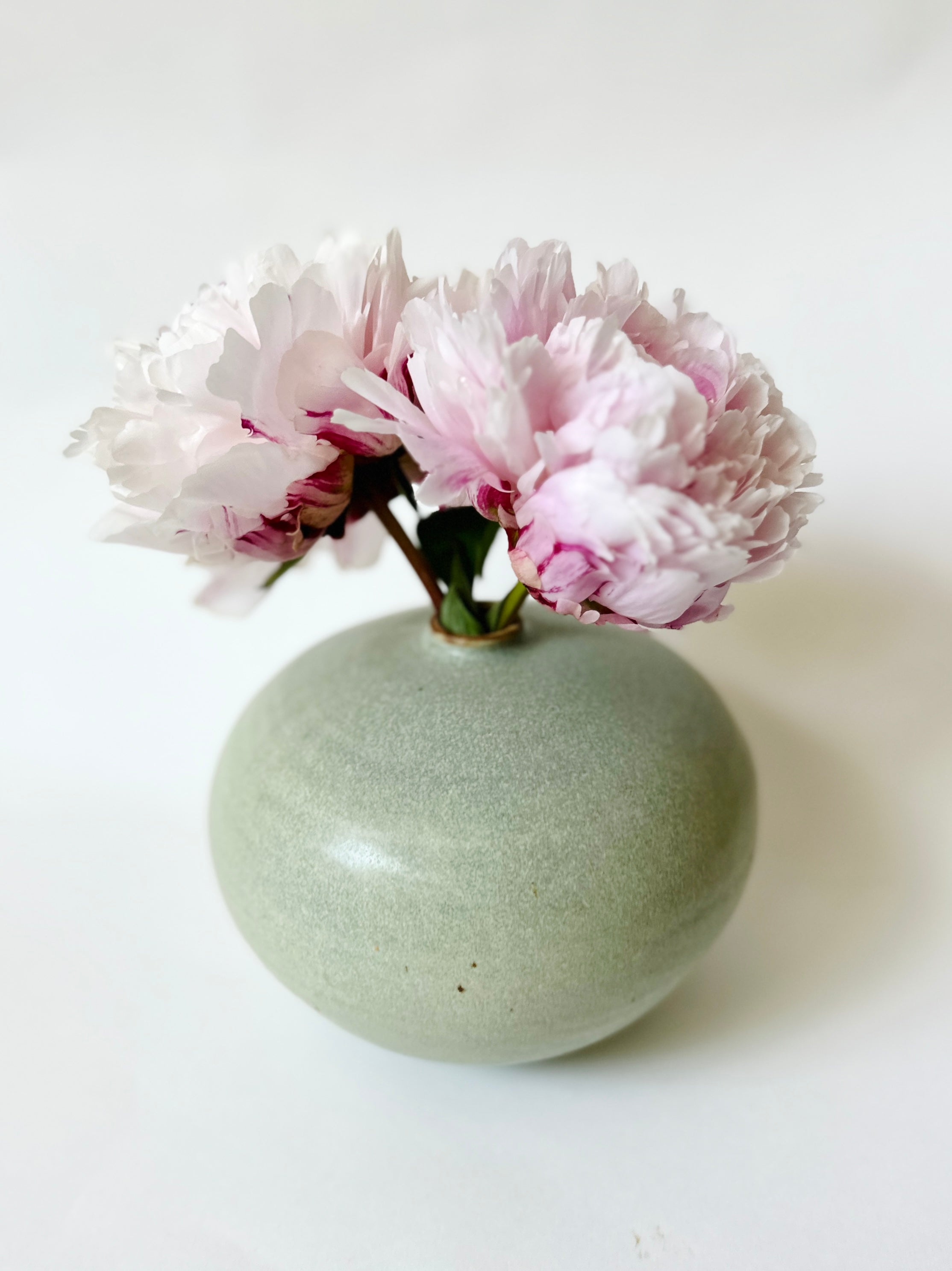 Pistachio no. 4