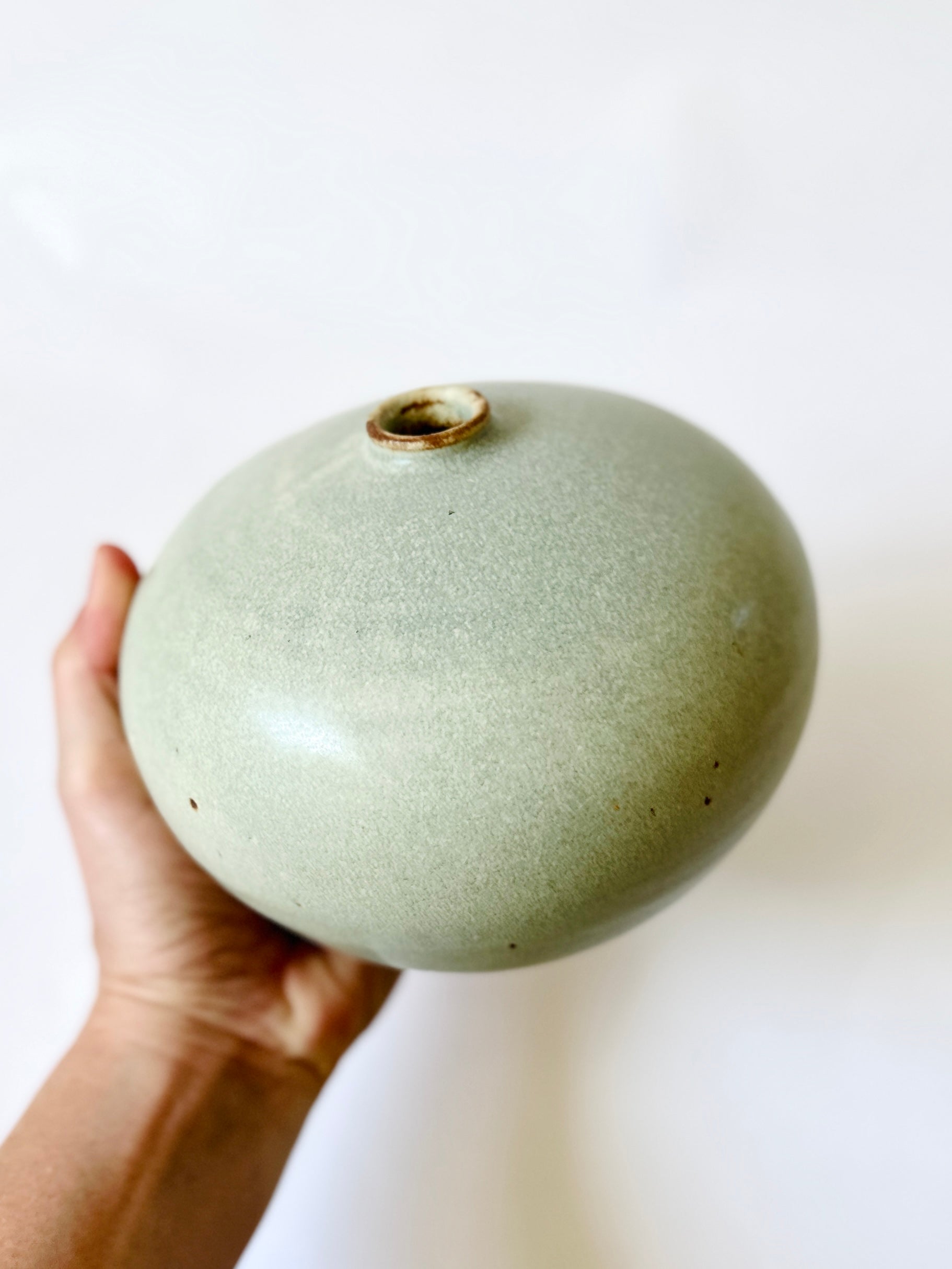 Pistachio no. 4