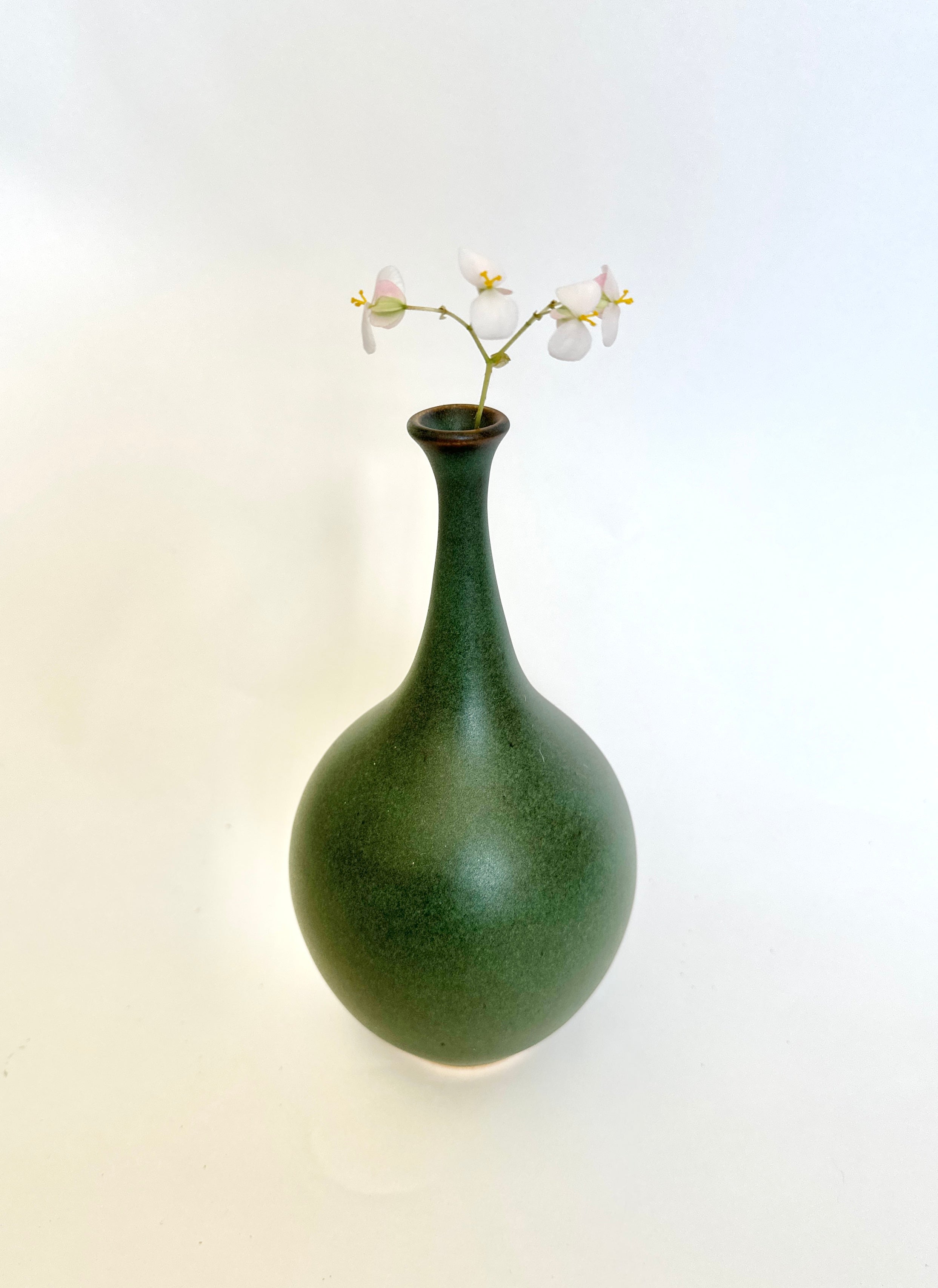 Green bottleneck no. 25