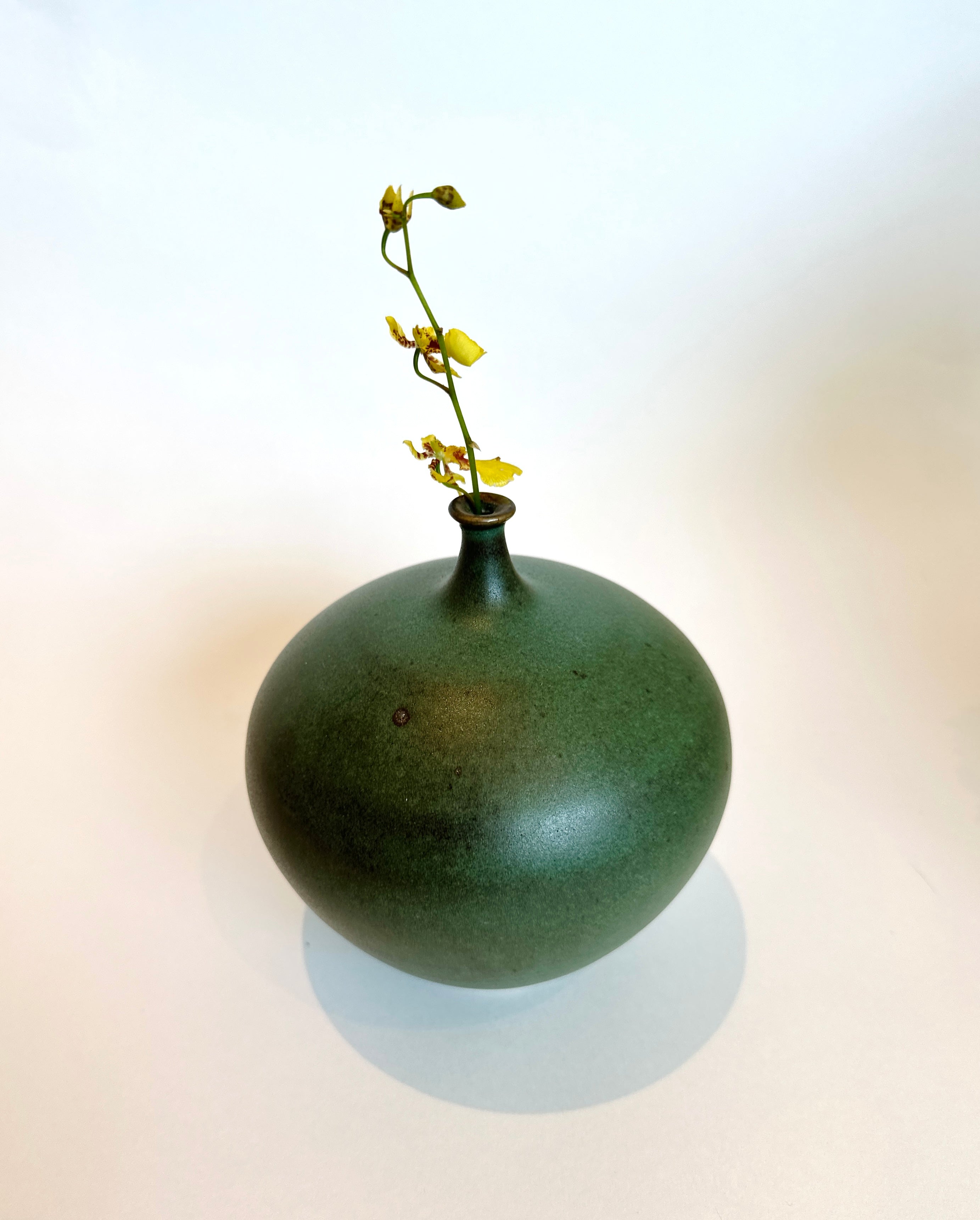 Green bottleneck no. 39